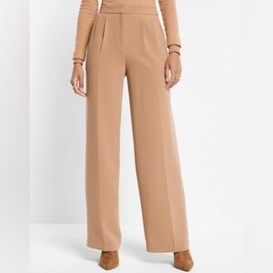 Express super high waisted open pleated wide leg pant